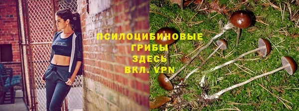 марки lsd Осинники