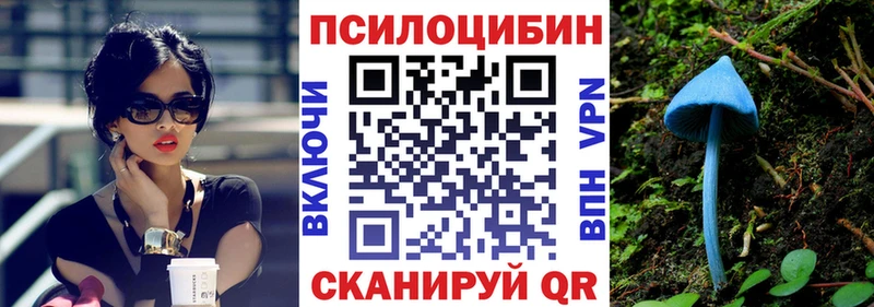 Галлюциногенные грибы Psilocybine cubensis  Алзамай 